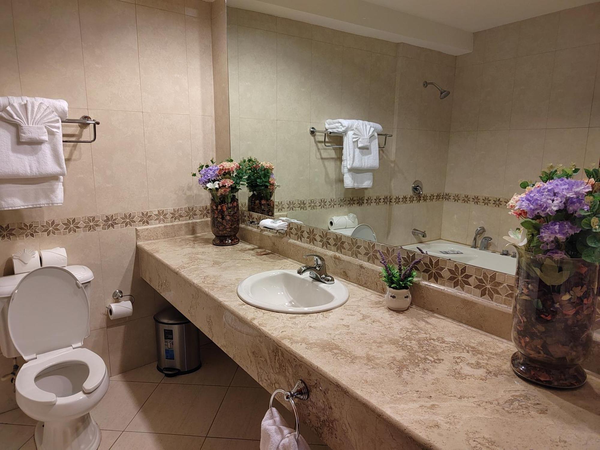 Princess Hotel And Casino Free Zone 库罗扎 外观 照片